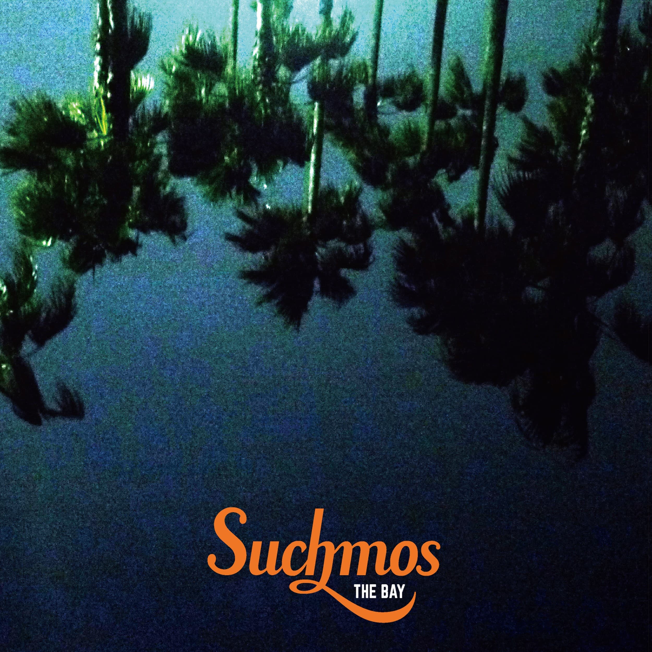 THE BAY / Suchmos
