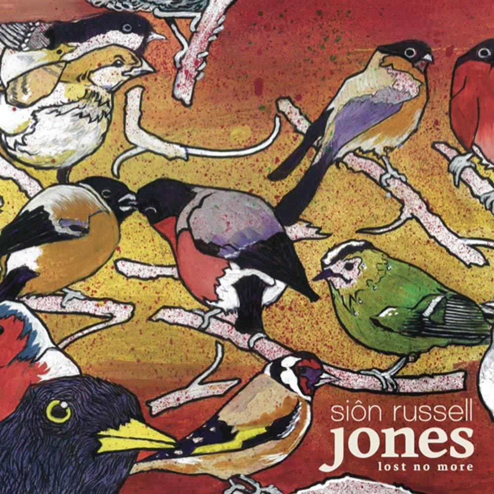 Lost No More / Sion Russell Jones