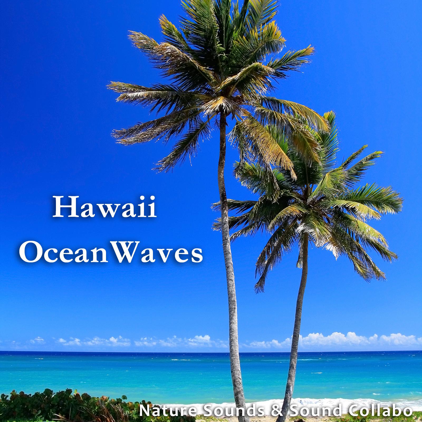 ハワイの波の音