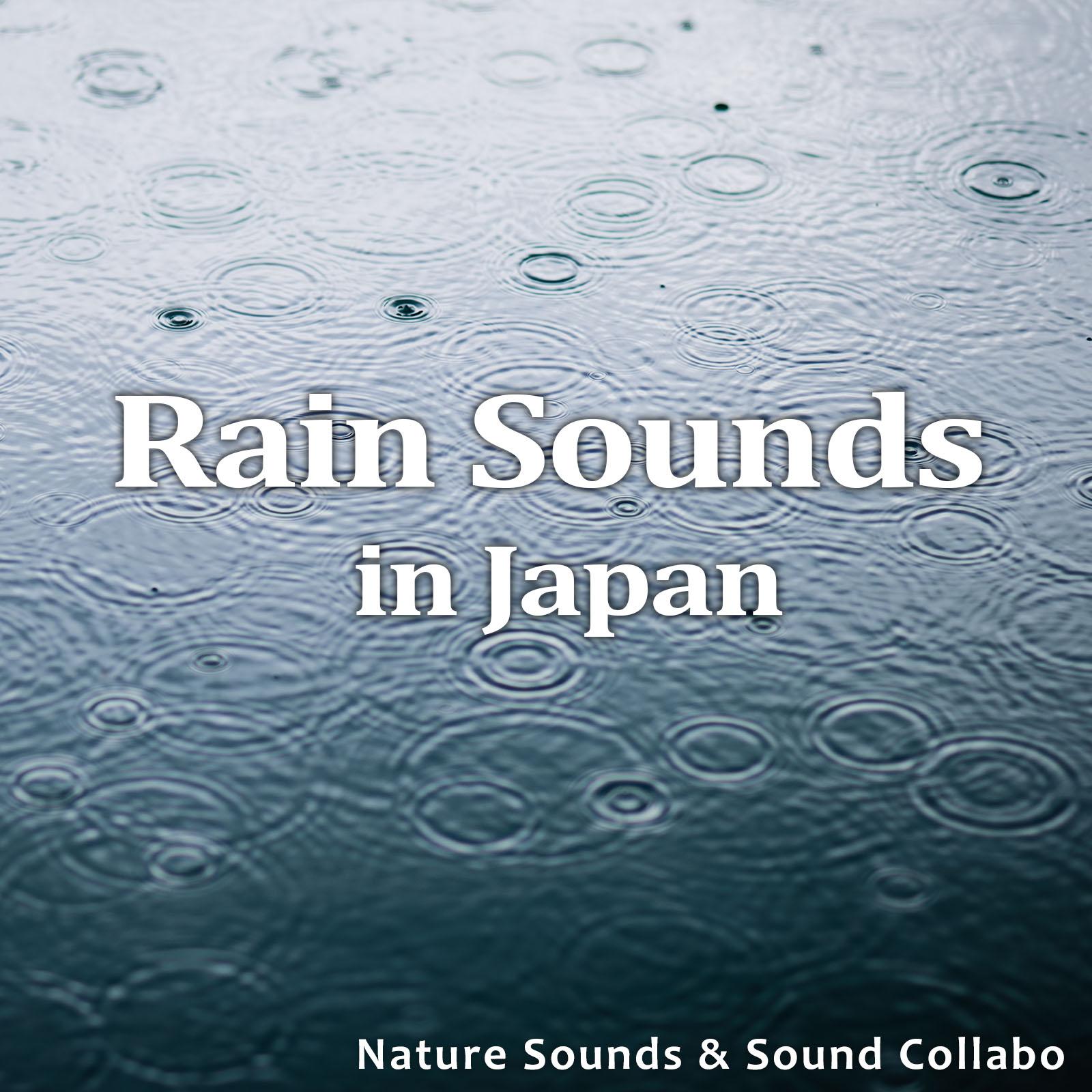 Rain Sounds in Japan