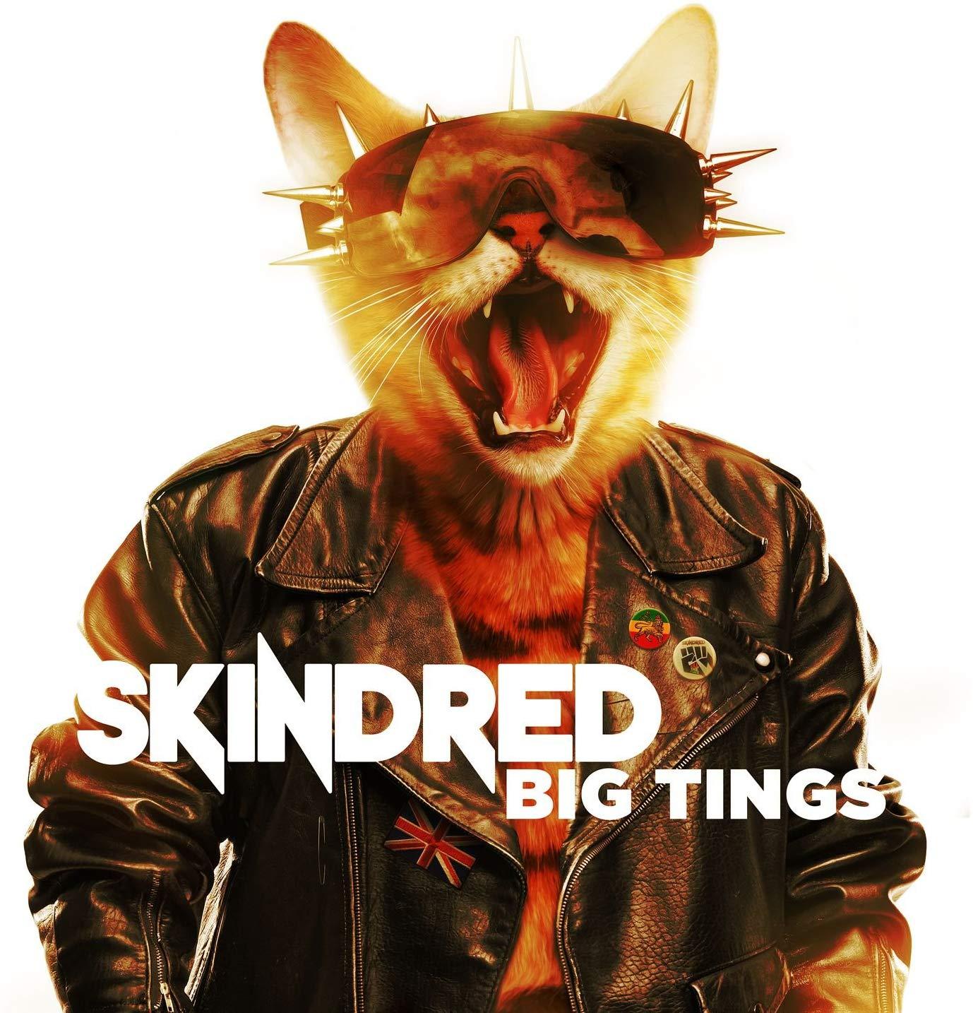 Big Tings / Skindred