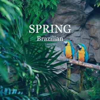 春のブラジル音楽