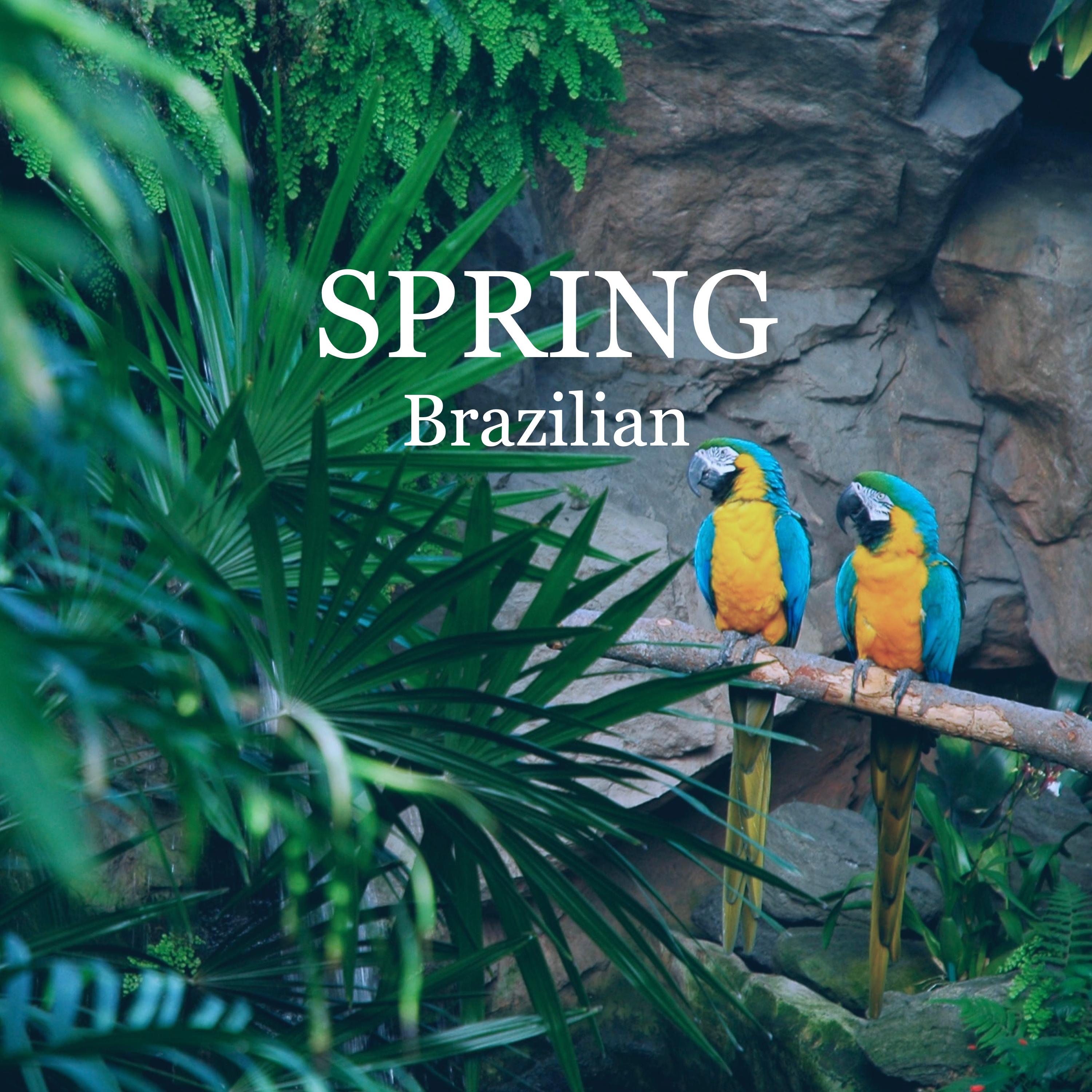春のブラジル音楽